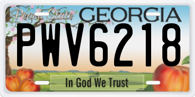 GA license plate PWV6218
