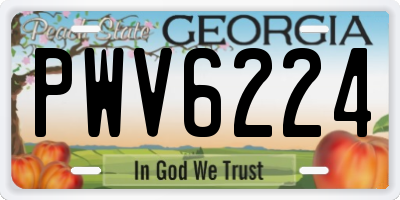 GA license plate PWV6224
