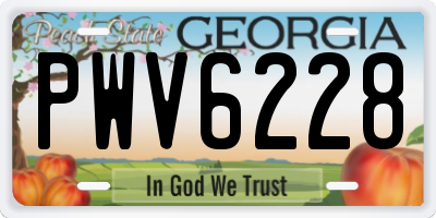 GA license plate PWV6228