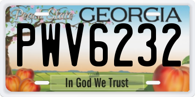 GA license plate PWV6232