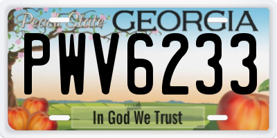 GA license plate PWV6233