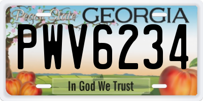 GA license plate PWV6234