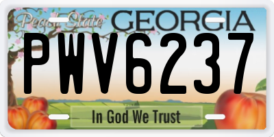 GA license plate PWV6237