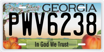 GA license plate PWV6238