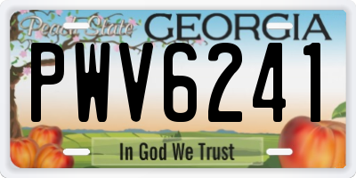 GA license plate PWV6241