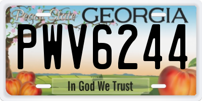 GA license plate PWV6244