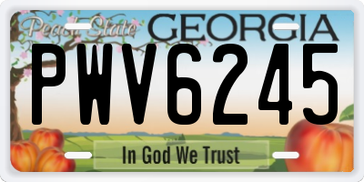 GA license plate PWV6245