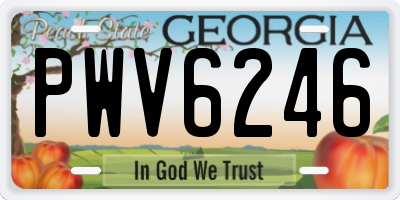 GA license plate PWV6246