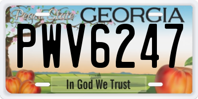 GA license plate PWV6247