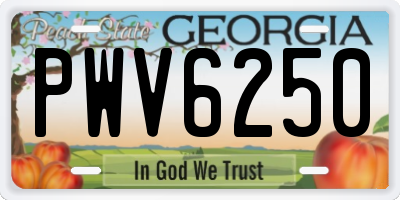 GA license plate PWV6250