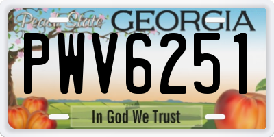 GA license plate PWV6251