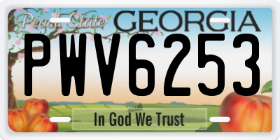 GA license plate PWV6253