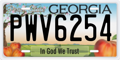 GA license plate PWV6254