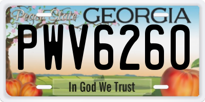 GA license plate PWV6260