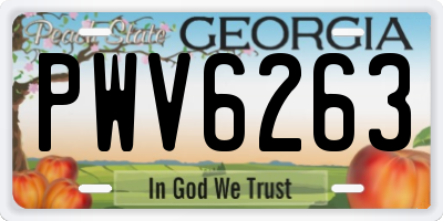 GA license plate PWV6263
