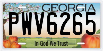GA license plate PWV6265