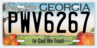 GA license plate PWV6267