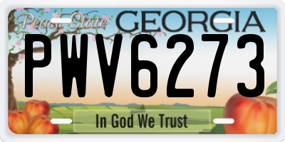 GA license plate PWV6273