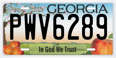 GA license plate PWV6289