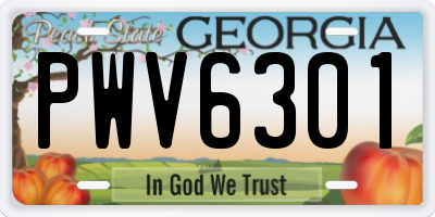 GA license plate PWV6301