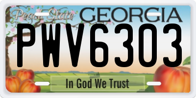GA license plate PWV6303