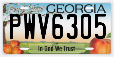GA license plate PWV6305