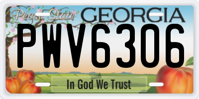 GA license plate PWV6306
