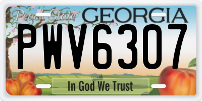 GA license plate PWV6307