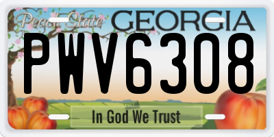 GA license plate PWV6308