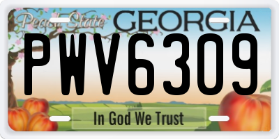 GA license plate PWV6309