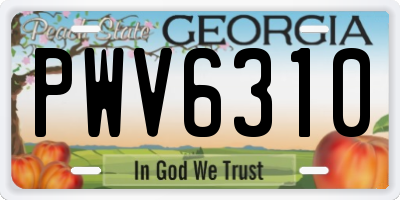 GA license plate PWV6310