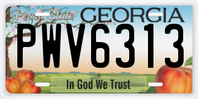 GA license plate PWV6313