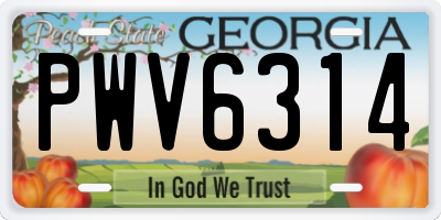 GA license plate PWV6314