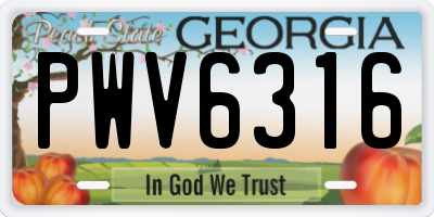 GA license plate PWV6316