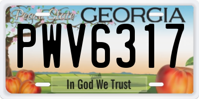 GA license plate PWV6317