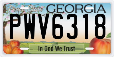 GA license plate PWV6318