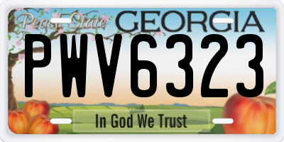 GA license plate PWV6323