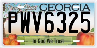 GA license plate PWV6325