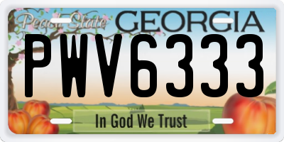 GA license plate PWV6333