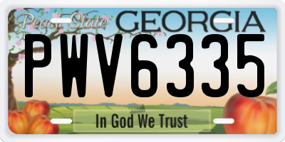 GA license plate PWV6335