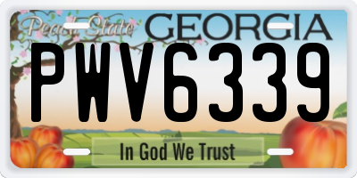 GA license plate PWV6339