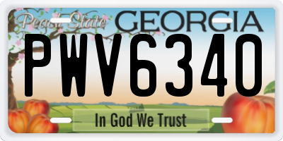 GA license plate PWV6340