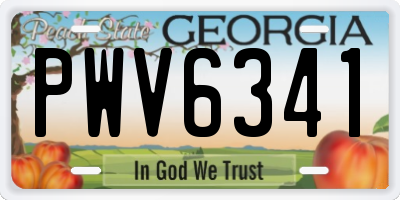 GA license plate PWV6341