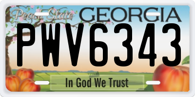 GA license plate PWV6343