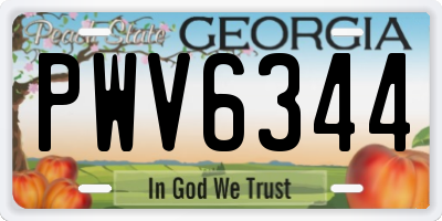 GA license plate PWV6344