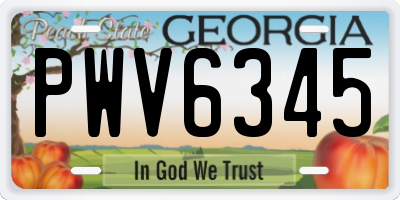 GA license plate PWV6345