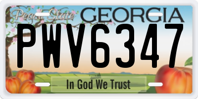 GA license plate PWV6347
