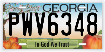 GA license plate PWV6348