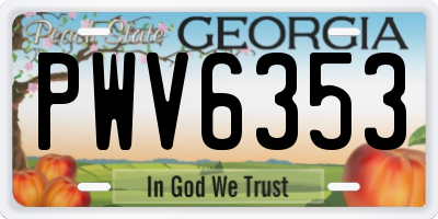 GA license plate PWV6353