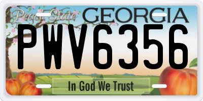 GA license plate PWV6356